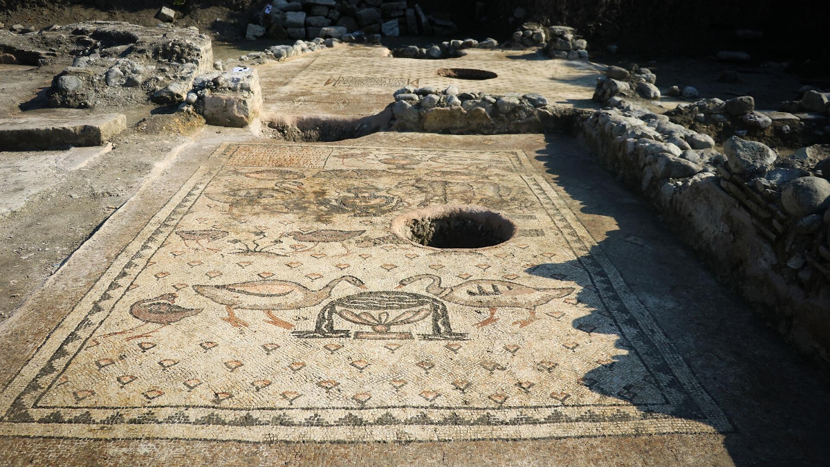 Житель Турции нашел в саду неожиданные предметы с тысячелетней историей