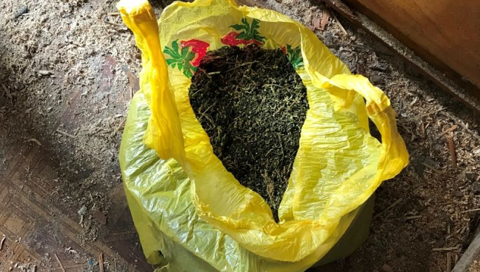 В Абшеронском районе обнаружено более 25 кг марихуаны