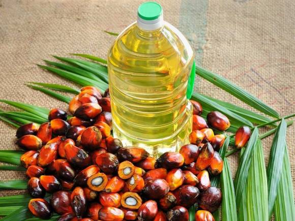 В мире рекордно подорожало пальмовое масло