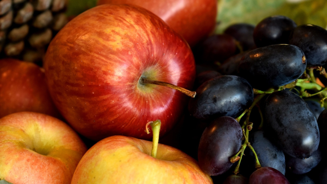 Диетолог предупредила об опасности неправильного употребления фруктов