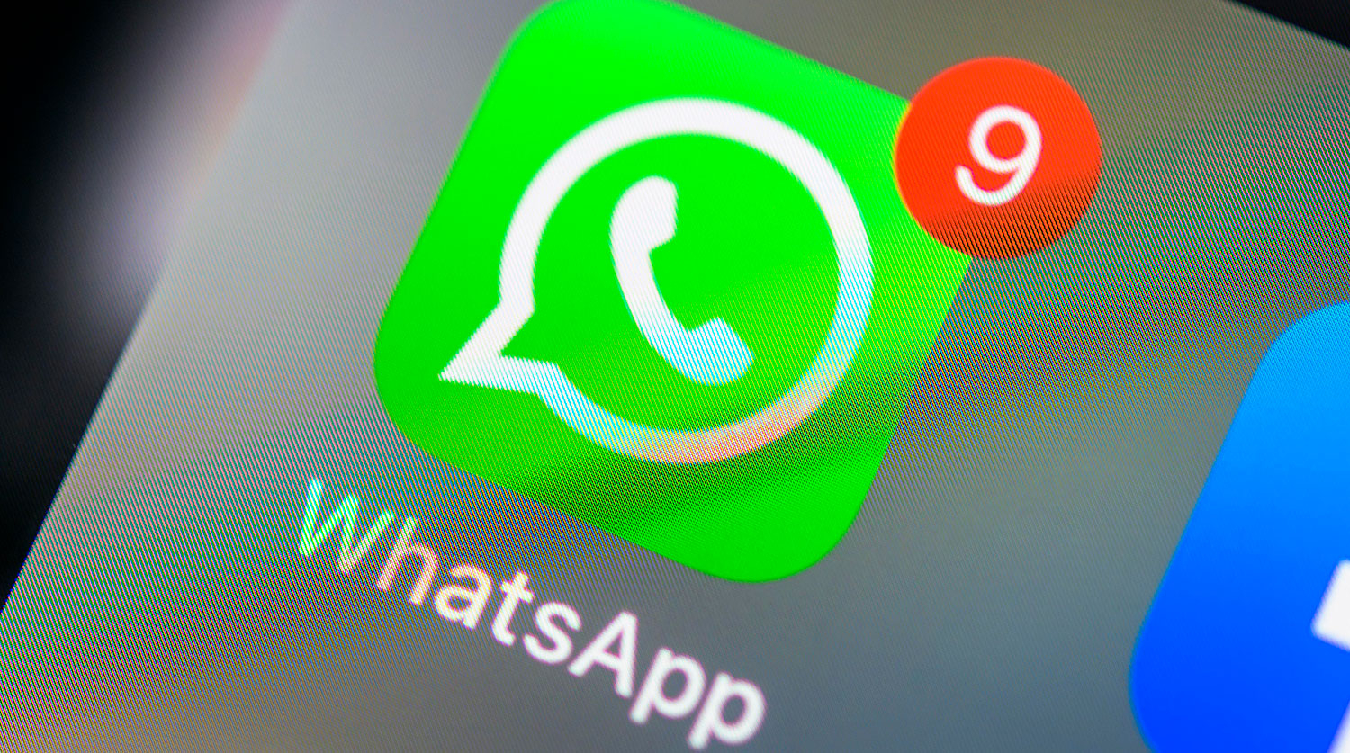 Пользователей WhatsApp предупредили об угрозе блокировки