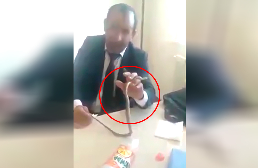 В Азербайджане учитель принес в школу змею - ВИДЕО