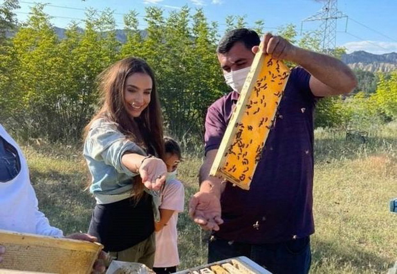 Лейла Алиева поделилась публикацией о пчеловодах из села Савалан  - ФОТО