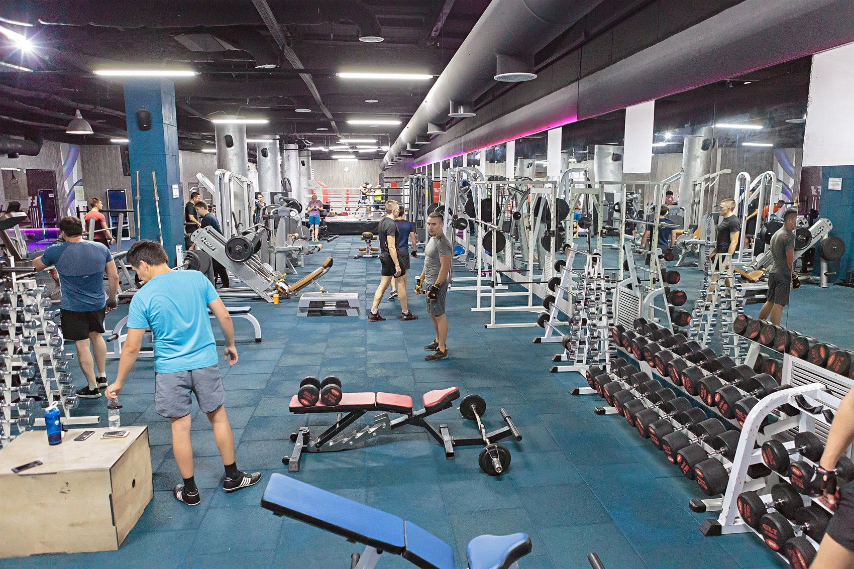 В Азербайджане возобновляется деятельность спортивных залов - ВИДЕО