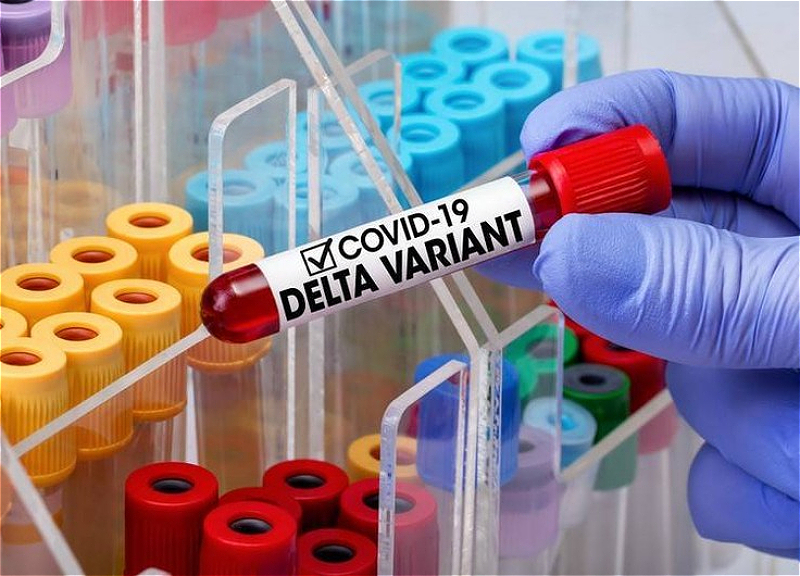 В ВОЗ заявили об обнаружении штамма COVID-19 "дельта" в 111 странах мира
