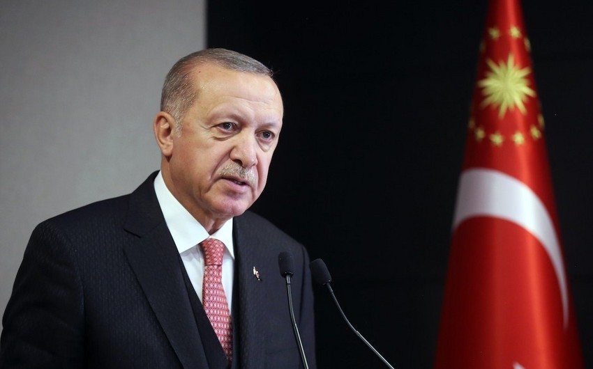 Эрдоган: Азербайджан отправит в Турцию гидросамолет