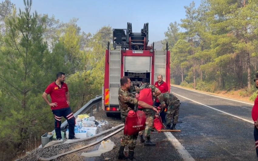 Азербайджанские пожарные демонстрируют самоотверженность в тушении лесных пожаров в Турции - ВИДЕО
