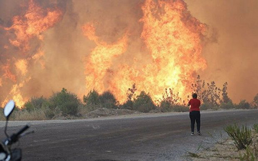 Террористическая организация взяла на себя ответственность за поджоги лесов в Турции