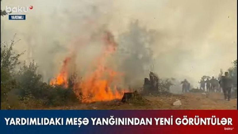 Обнародованы новые кадры лесного пожара в Ярдымлы - ВИДЕО