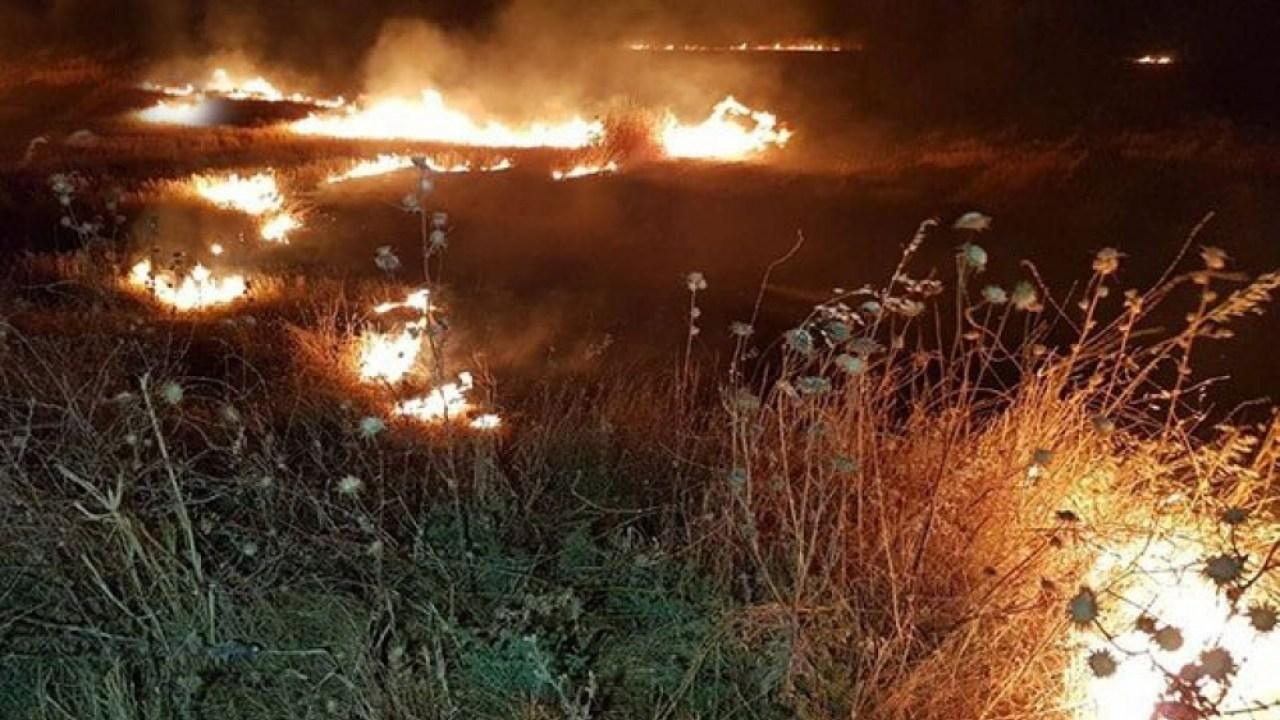 Армия горящих сердец вконтакте сегодня. Пожар AGS. Фото пожар трава ночью. Пшеничное поле сгоревшее. Пал травы ночью.