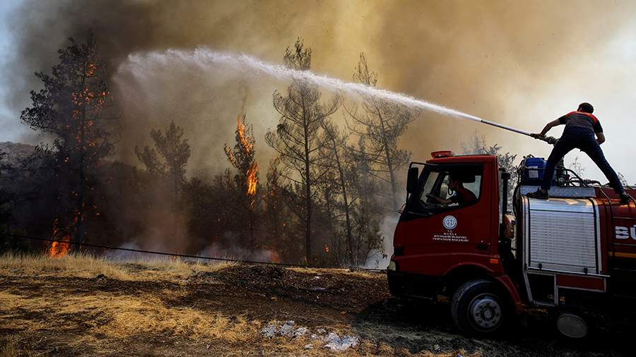 Пожарным в Турции удалось локализовать 196 из 208 очагов лесных пожаров