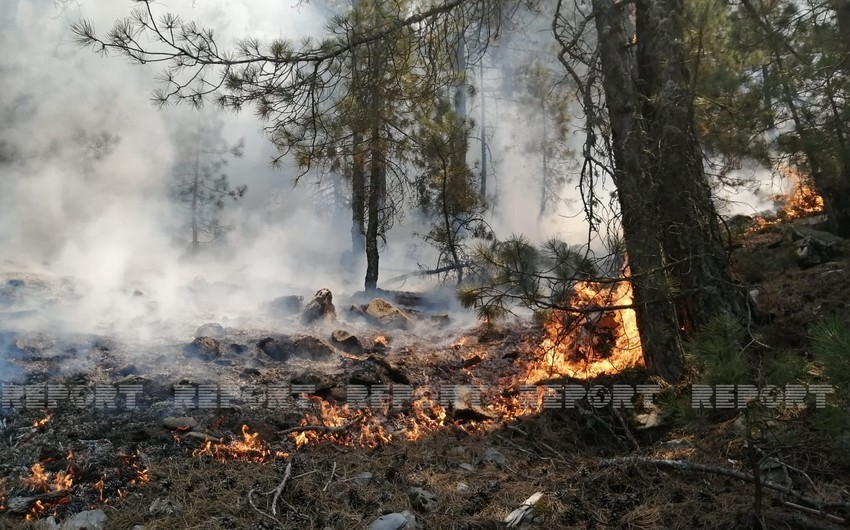 В Габале продолжается пожар в горной местности