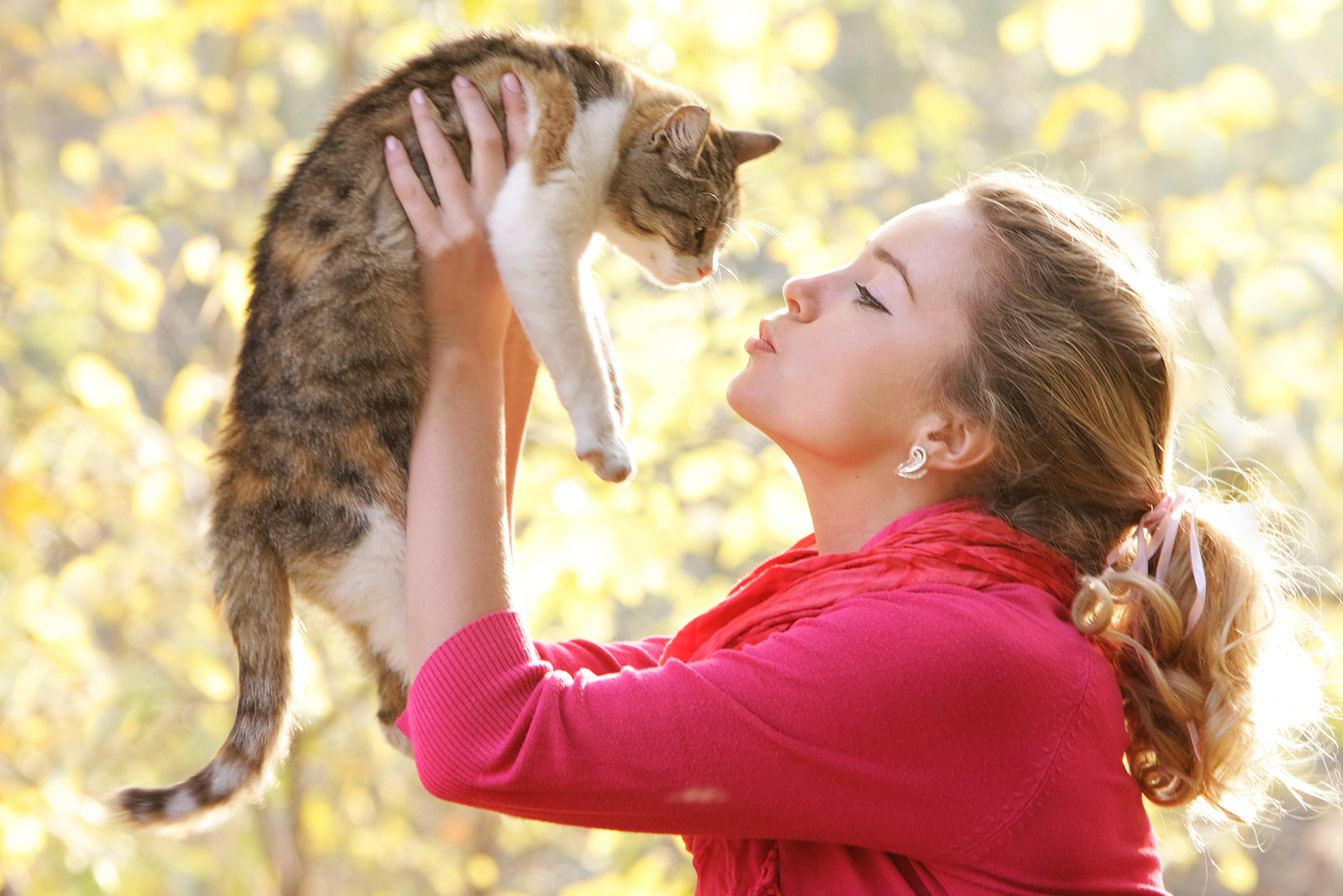 Общение с кошками повышает риск психоза