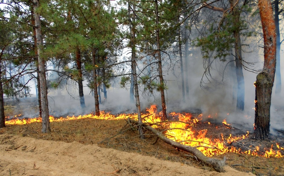 Иран оказал помощь Армении в тушении лесных пожаров