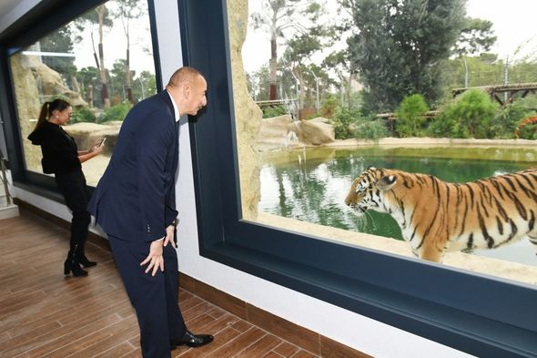 Ильхам Алиев и Мехрибан Алиева приняли участие в открытии Бакинского зоопарка - ФОТО