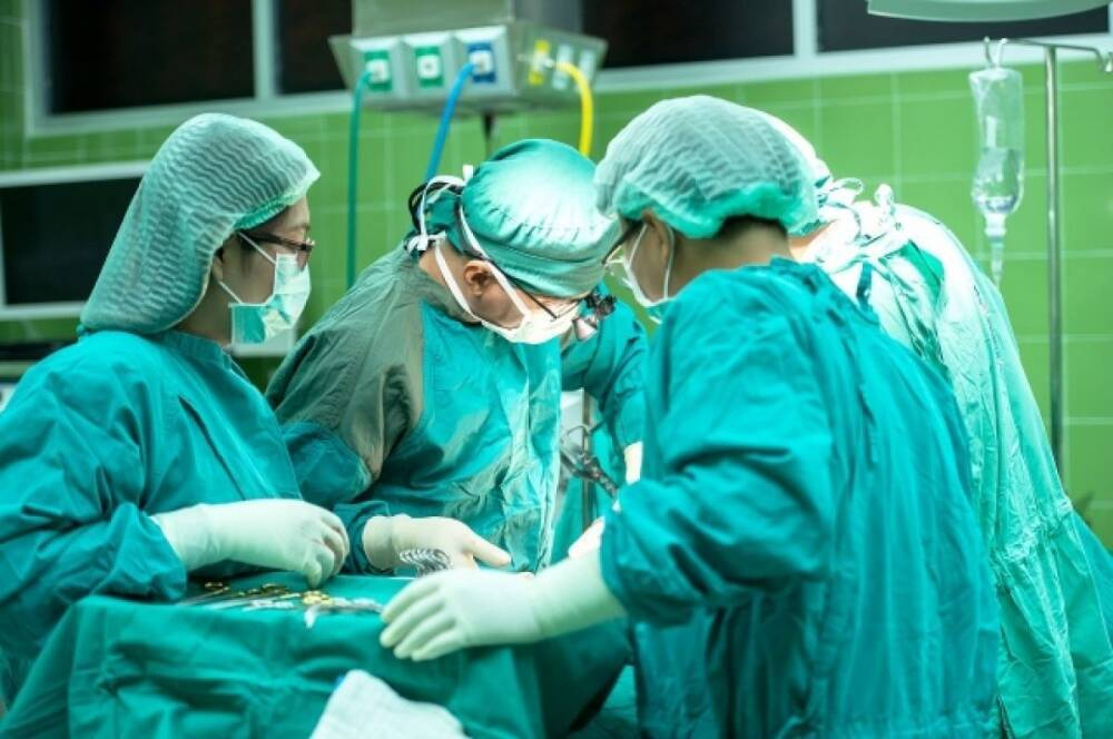 Американские хирурги пересадили человеку почку свиньи
