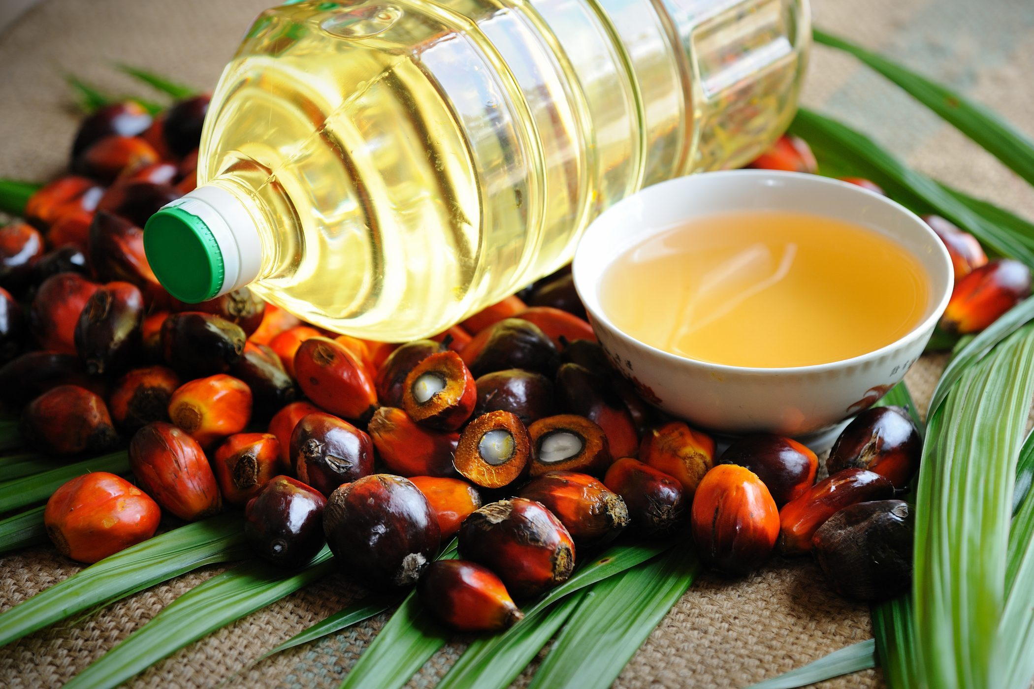 Ученые обнаружили опасное свойство пальмового масла