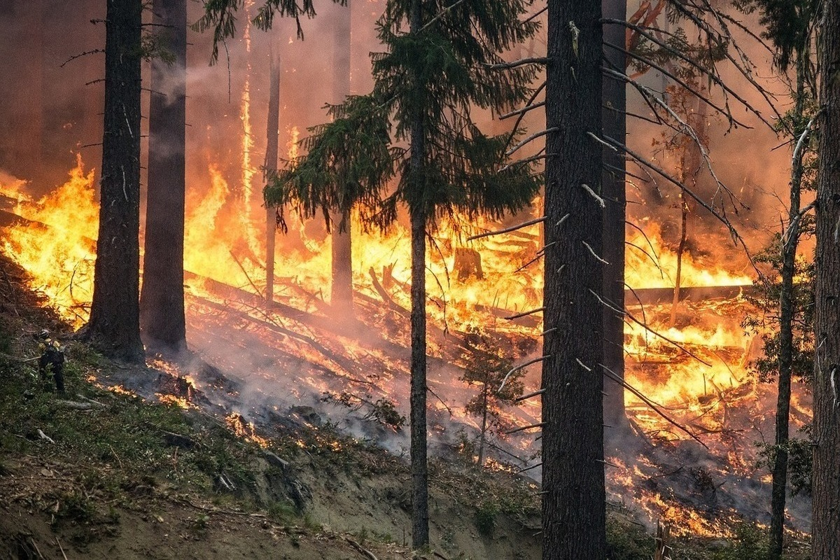 Лесной пожар в Астаринском районе потушен - ОБНОВЛЕНО