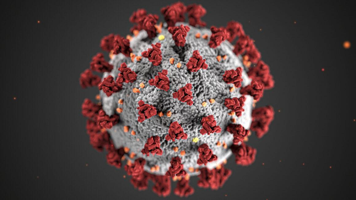 В мире обнаружен новый вариант коронавируса