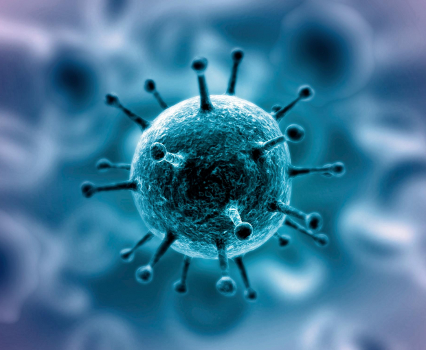 В ЮАР обнаружили новый коронавирус