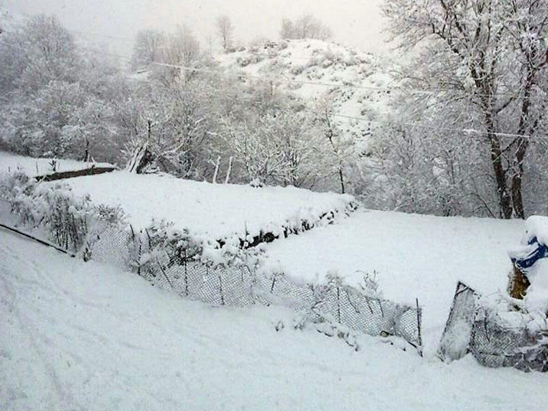 Высота снежного покрова в этом регионе Азербайджана достигла 74 см