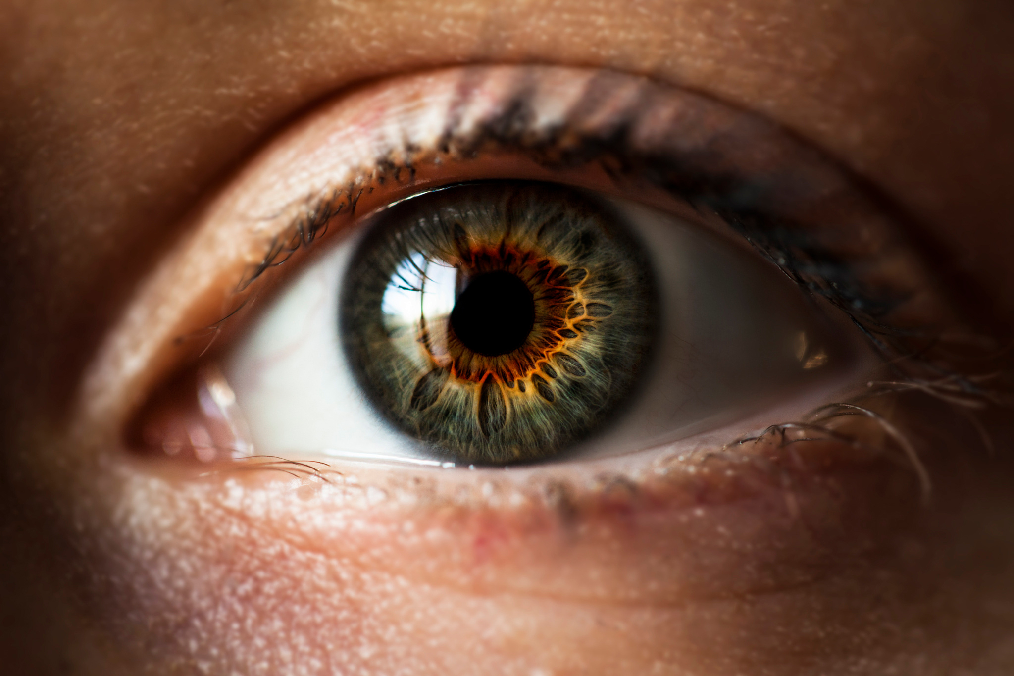 Ученые выяснили, что люди отличают мужчин от женщин по оттенкам белков глаз