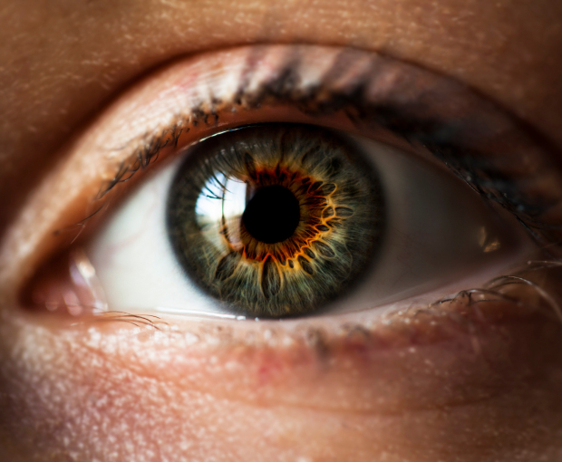 Ученые выяснили, что люди отличают мужчин от женщин по оттенкам белков глаз