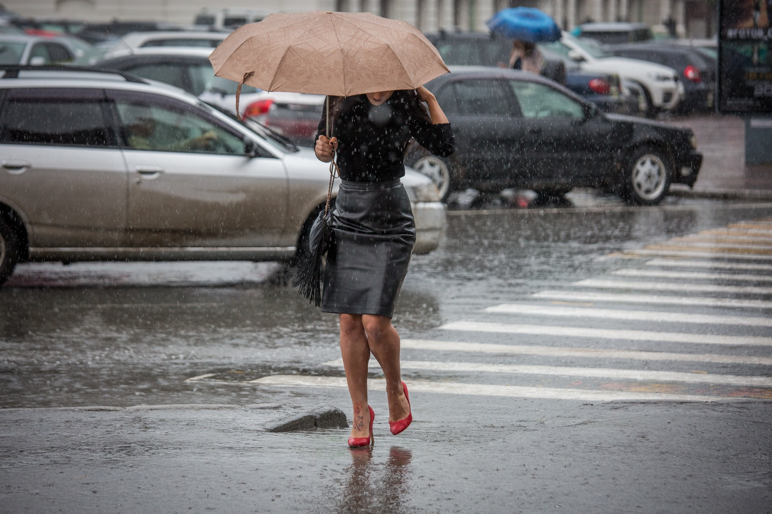 Сильный ветер, дождь и гроза: синоптики предупредили об ухудшении погоды