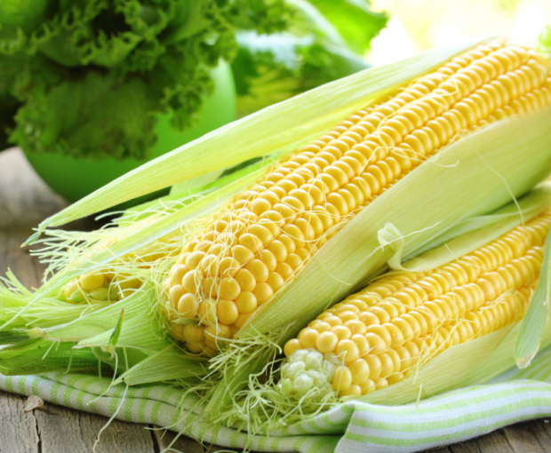 Врач назвал неожиданное полезное свойство кукурузы