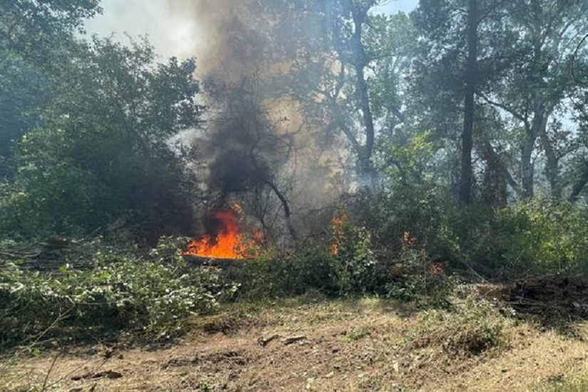 В Зангилане потушен пожар в лесистой местности - ОБНОВЛЕНО + ВИДЕО