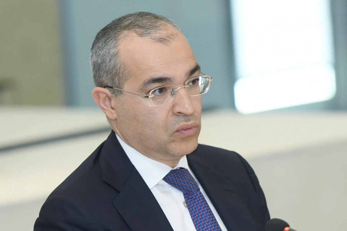 Микаил Джаббаров: Азербайджан, Узбекистан и Турция будут поощрять совместные инвестиционные проекты - ФОТО