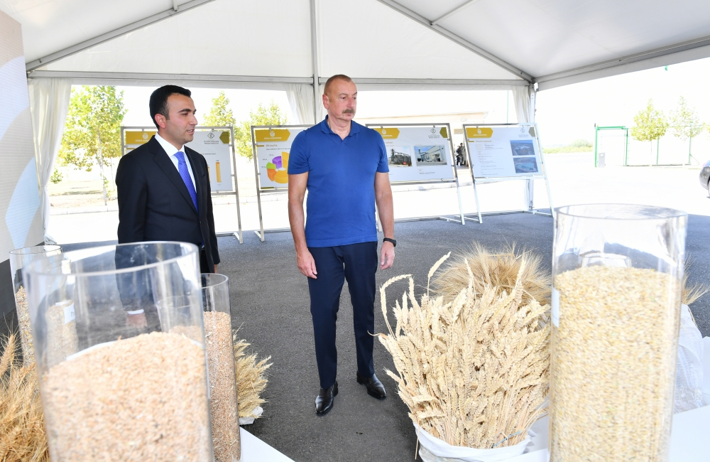Президент Ильхам Алиев ознакомился с деятельностью "Агропарка Агсу" - ФОТО