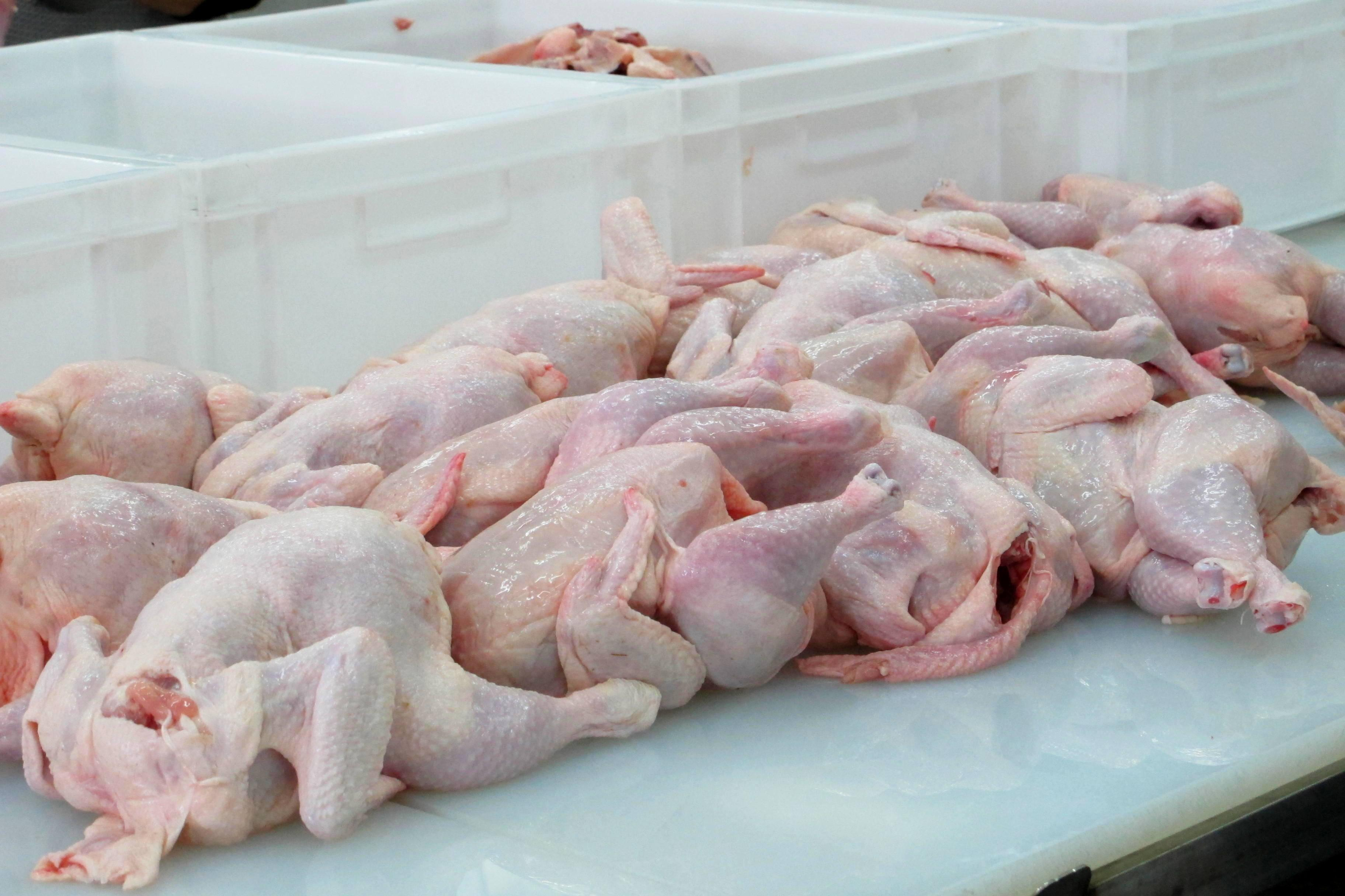 Азербайджан ввел запрет на импорт куриной продукции из Нидерландов