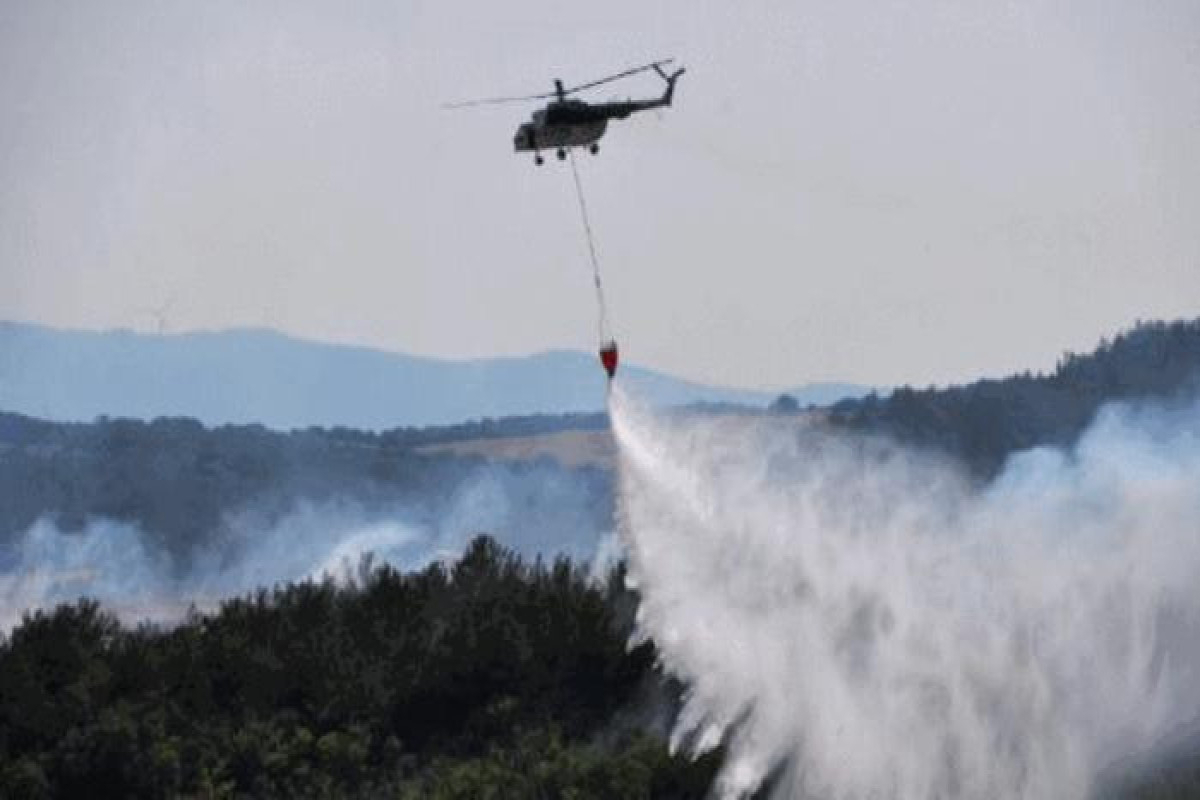 В Габалинском районе в горно-лесной местности начался пожар, задействован 1 вертолет