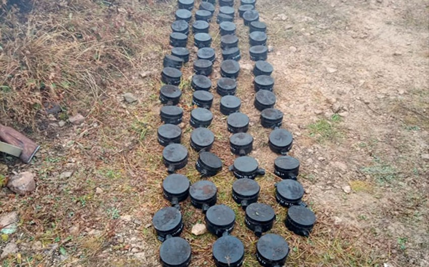 За последние десять дней в Лачыне и Кяльбаджаре обнаружены 72 мины - ФОТО