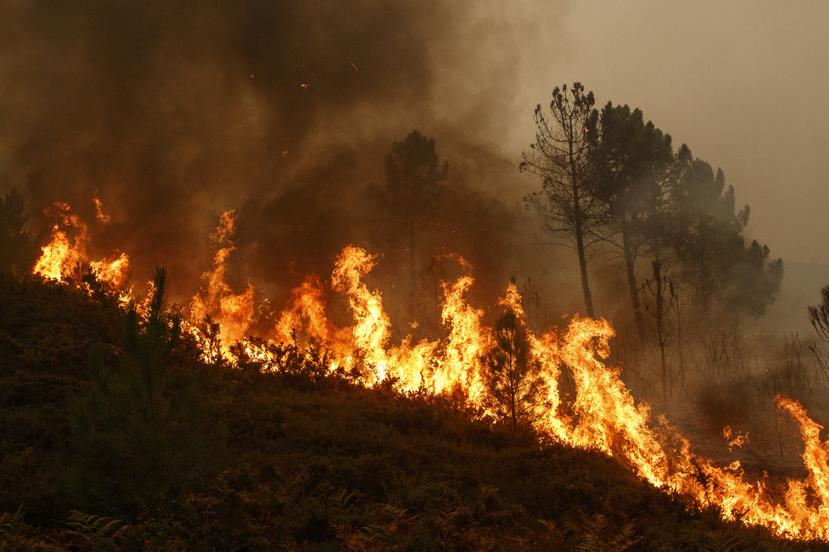 К тушению пожара в горно-лесной местности в Хызы привлечены 2 вертолета