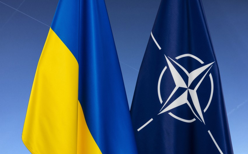 Обсуждение членства Украины в НАТО начнется в середине октября