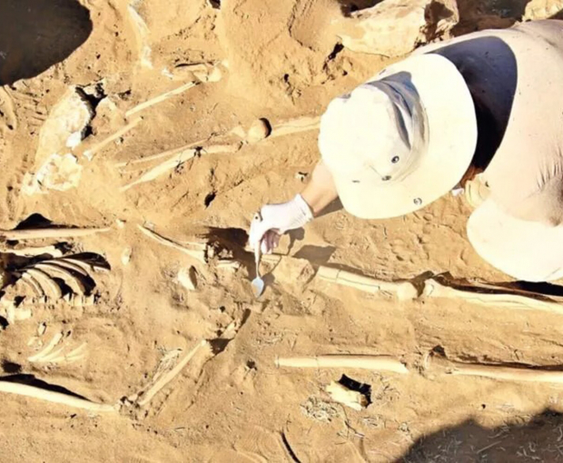 В Турции археологи обнаружили похороненного в амфоре ребенка