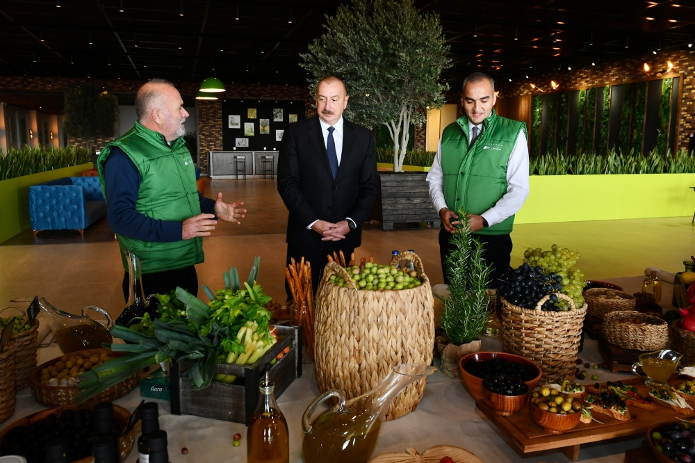 Президент принял участие в открытии завода по переработке оливкового масла и оливок в Зиря - ОБНОВЛЕНО + ФОТО