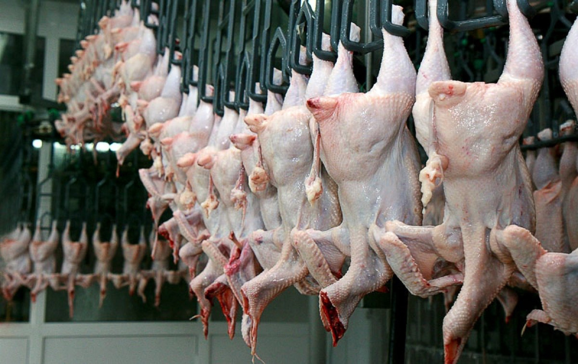 В Азербайджане подешевело куриное мясо