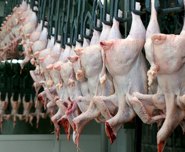 В Азербайджане подешевело куриное мясо