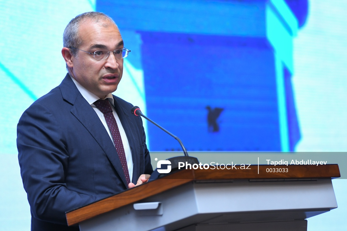 Министр раскрыл объем инвестпортфеля Азербайджанской инвестиционной компании - ФОТО