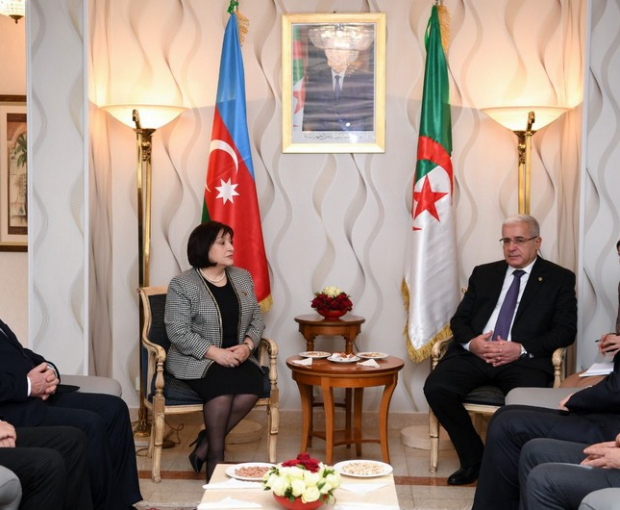 Сахиба Гафарова проинформировала алжирского коллегу о теракте в посольстве Азербайджана в Иране - ФОТО