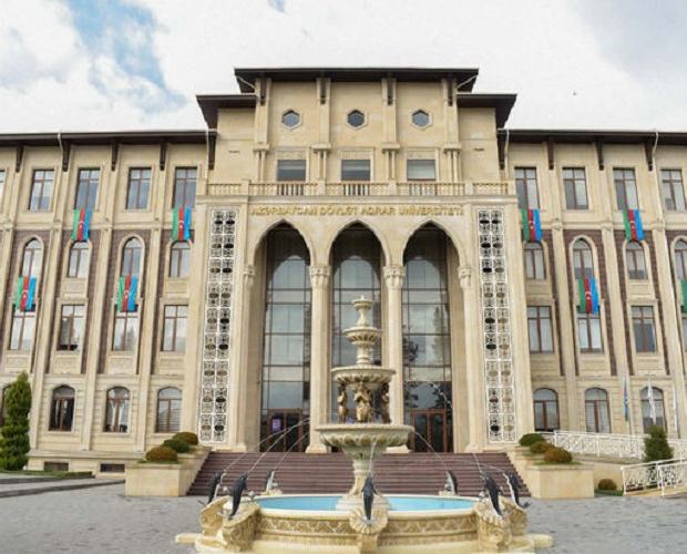 В азербайджанском вузе проведена операция: задержан декан факультета - ФОТО