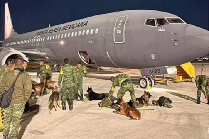 Мексика отправляет знаменитых собак-спасателей в Турцию - ФОТО