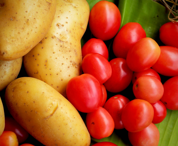 В Азербайджане выведены новые сорта картофеля и помидоров