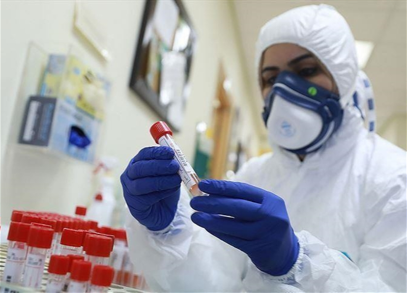 В Азербайджане за последние сутки от коронавируса скончались 5 человек - ФОТО