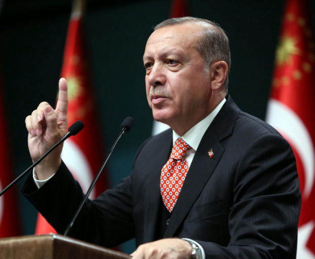 Депутат: Победа Эрдогана - это победа тюркского мира