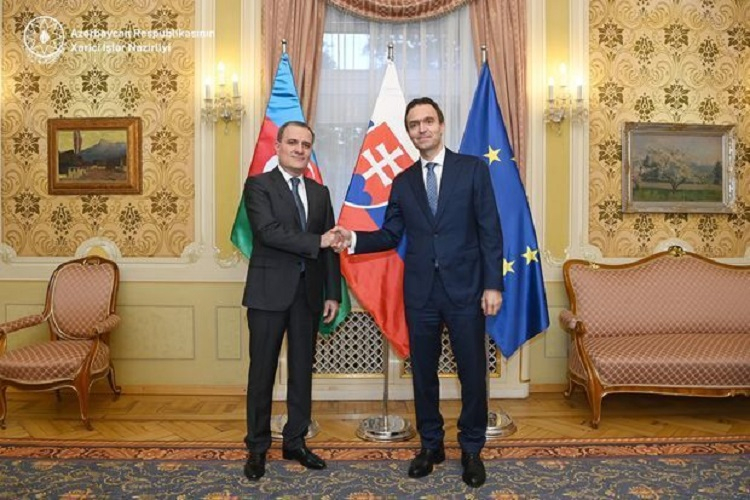 Глава МИД Азербайджана встретился с премьер-министром Словакии - ФОТО
