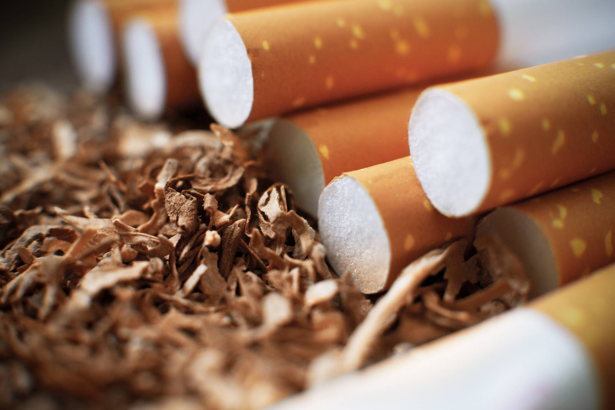 В Агдаме будет создано предприятие по производству табачных изделий - ФОТО